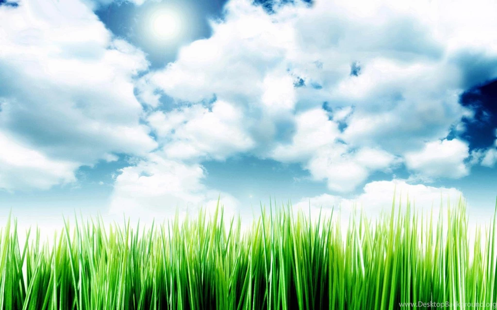 Grass And Sky Wallpapers Wide @516 ~ Wallove