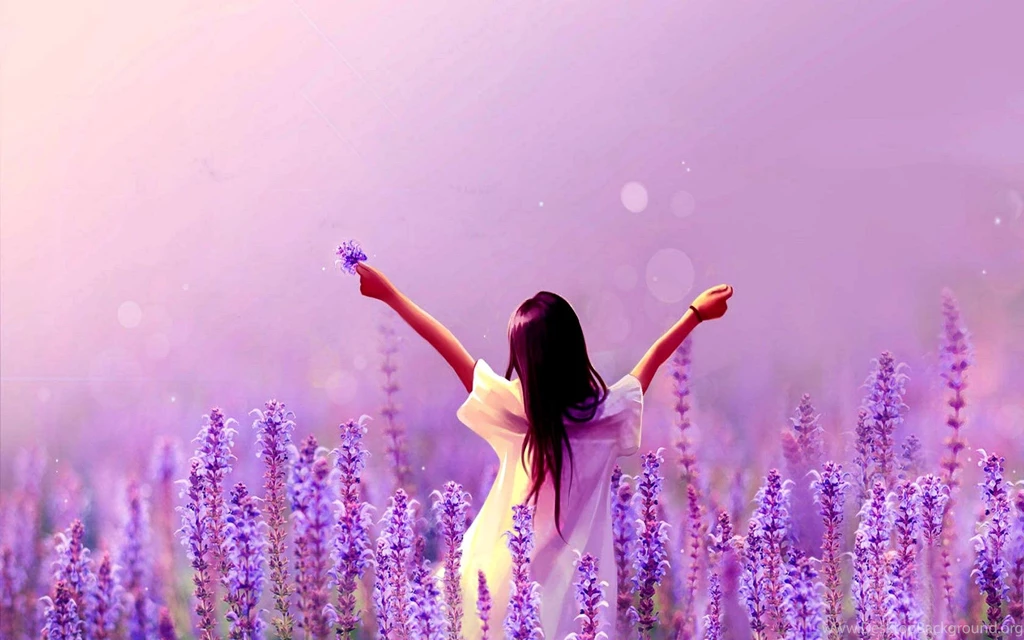 Lavender Flowers Desktop Wallpapers ~ Toptenpack.com