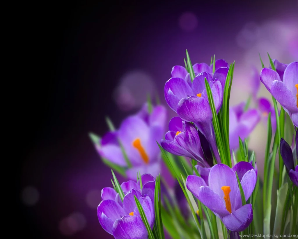 Natural Flowers — Crafthubs