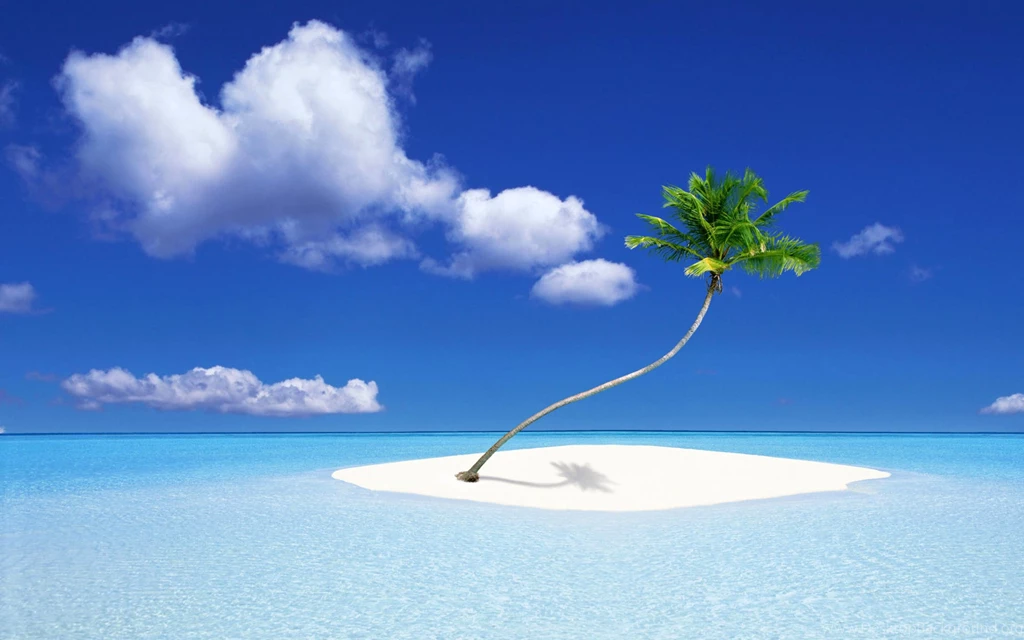 A Palm Tree Island Wallpapers