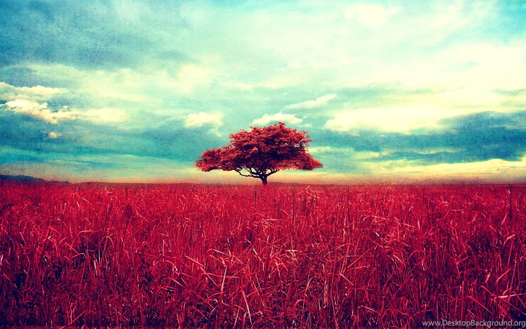 Red Tree Desktop Wallpapers