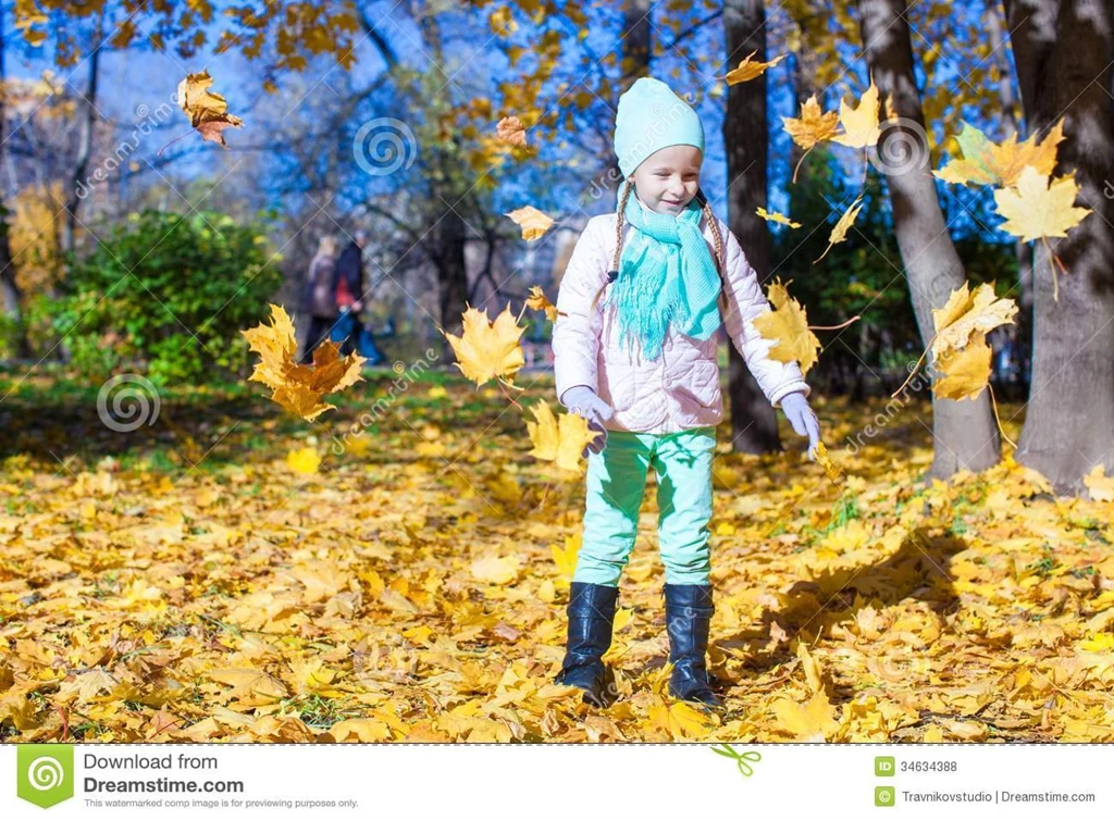 Funny Fall Pictures HD Wallpapers Lovely