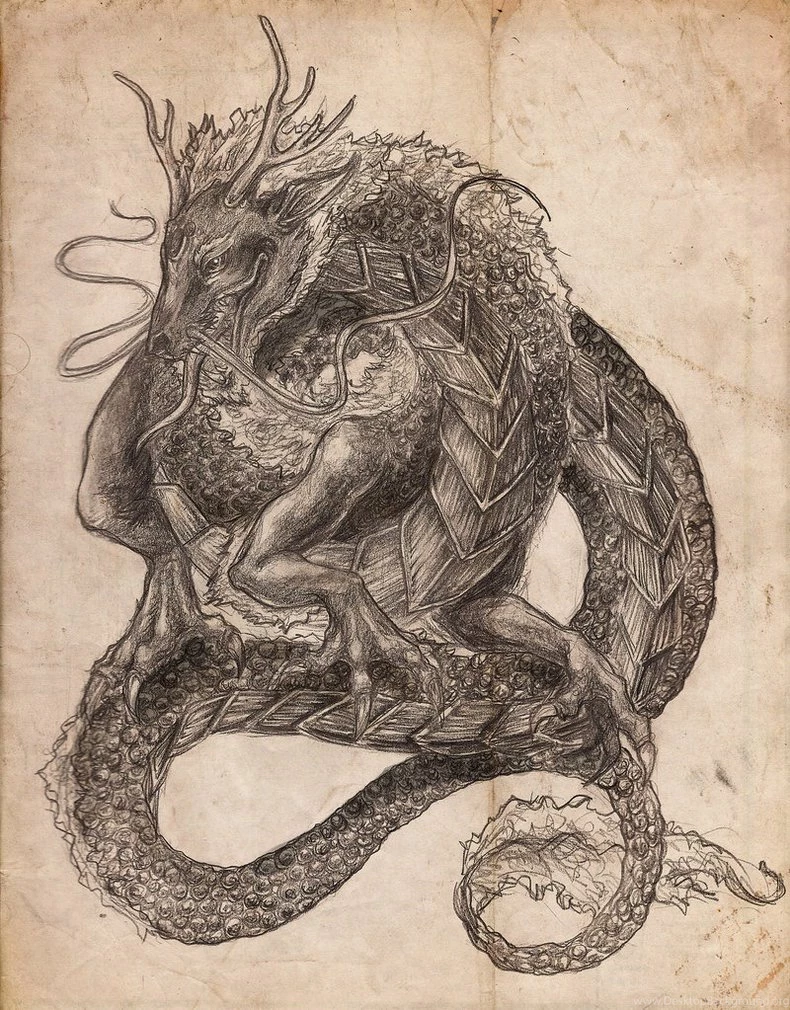 Asian Dragon By Flakycake On DeviantArt