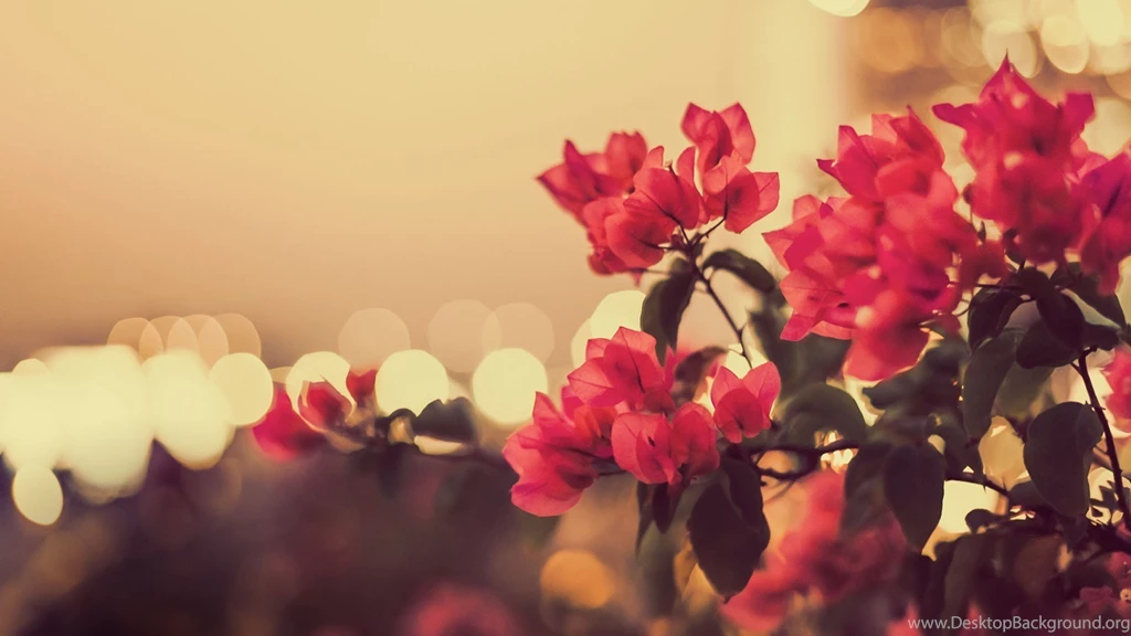 Vintage Flowers Wallpapers
