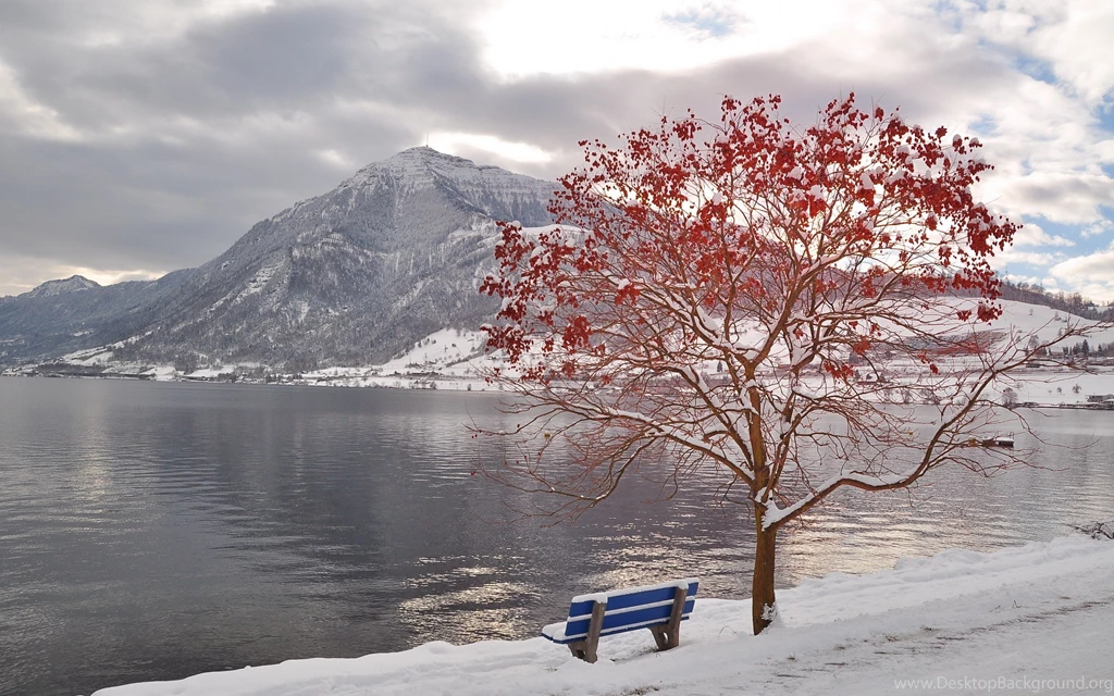 Hd Winter Wallpapers 7 – HdCoolWallpapers.Com