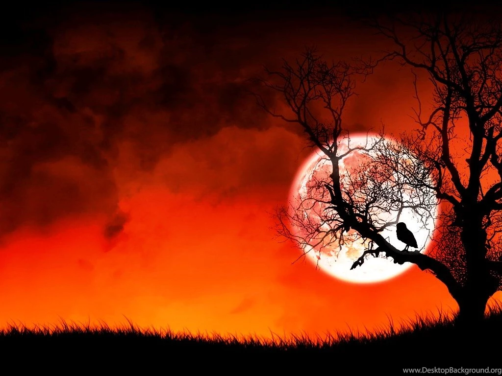 Animated Wallpapers For XP Free Download Moon Photos Of Using ...