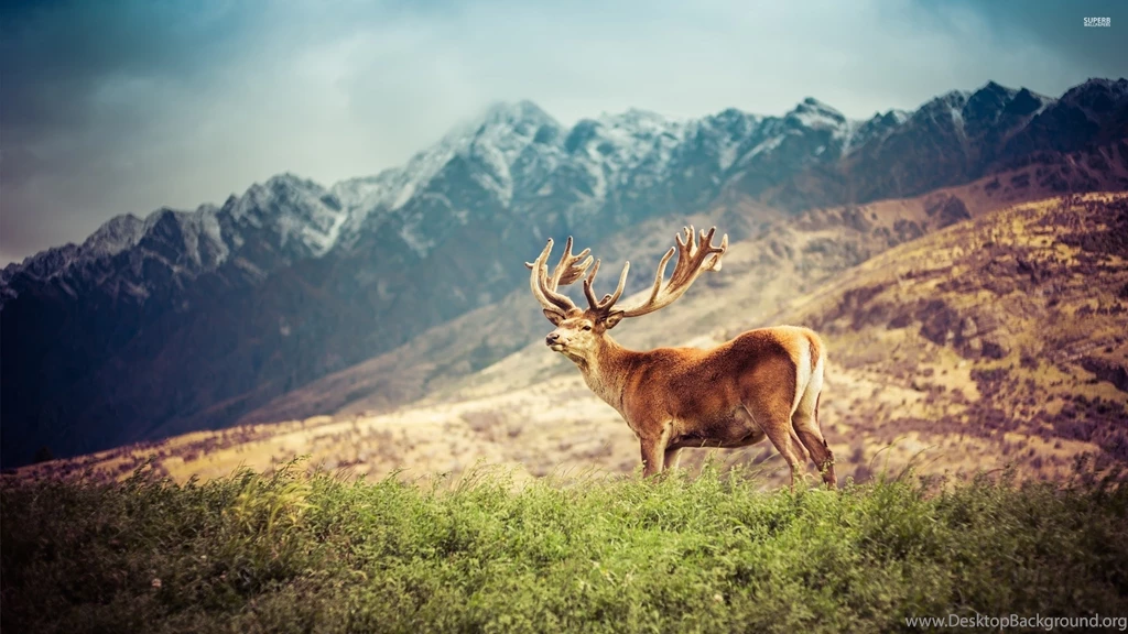 2560x1440 HD Wallpapers