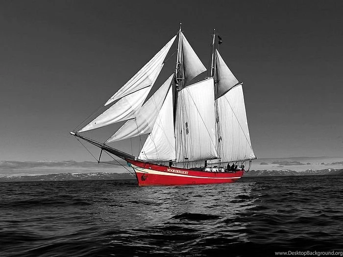 Black And White With Red Photography