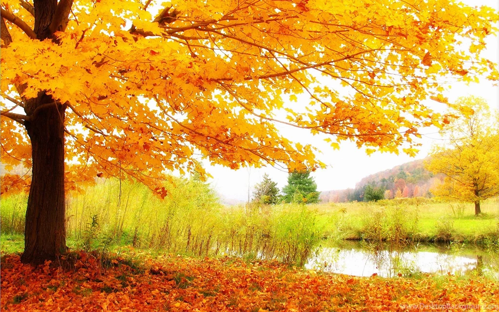 Scenery Wallpapers HDWPlan