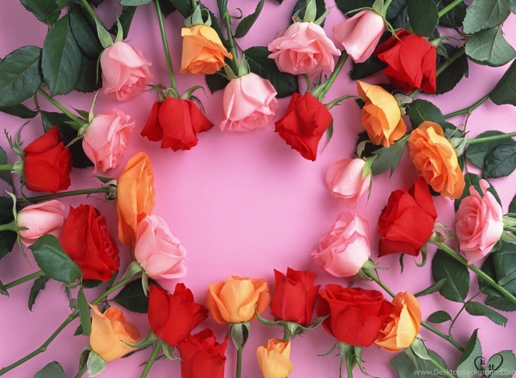 Flowers Wallpapers Part 4 Transformers Wallpapers