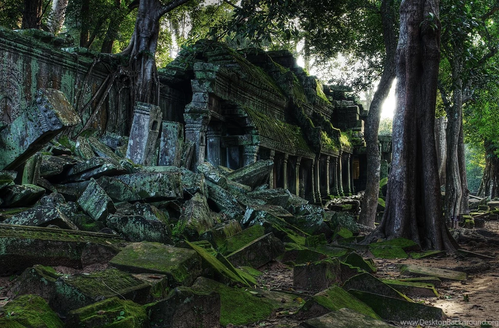 Angkor Wat Cambodia Forests Landscapes Moss Wallpapers (
