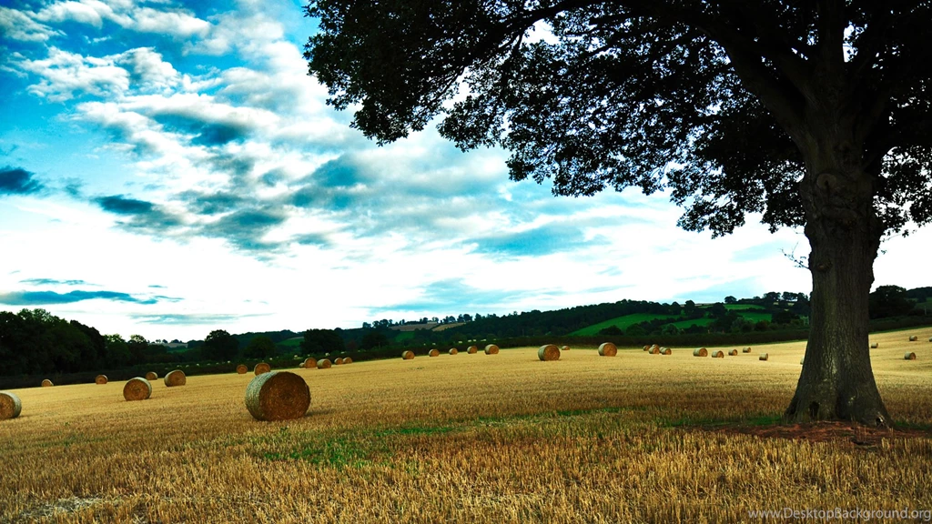 Nature Full HD Wallpapers Http://wallpaper.imcphoto.net