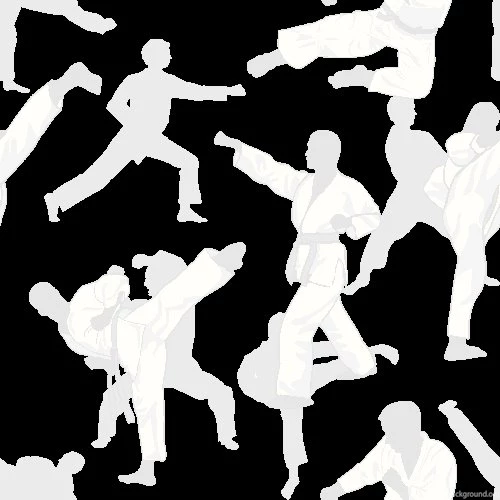 Karate / Original Background Images