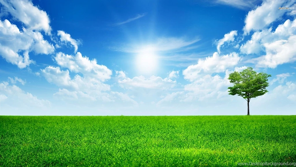 Bright Sunny Day Wallpapers Digital Art Wallpapers Desktop Background