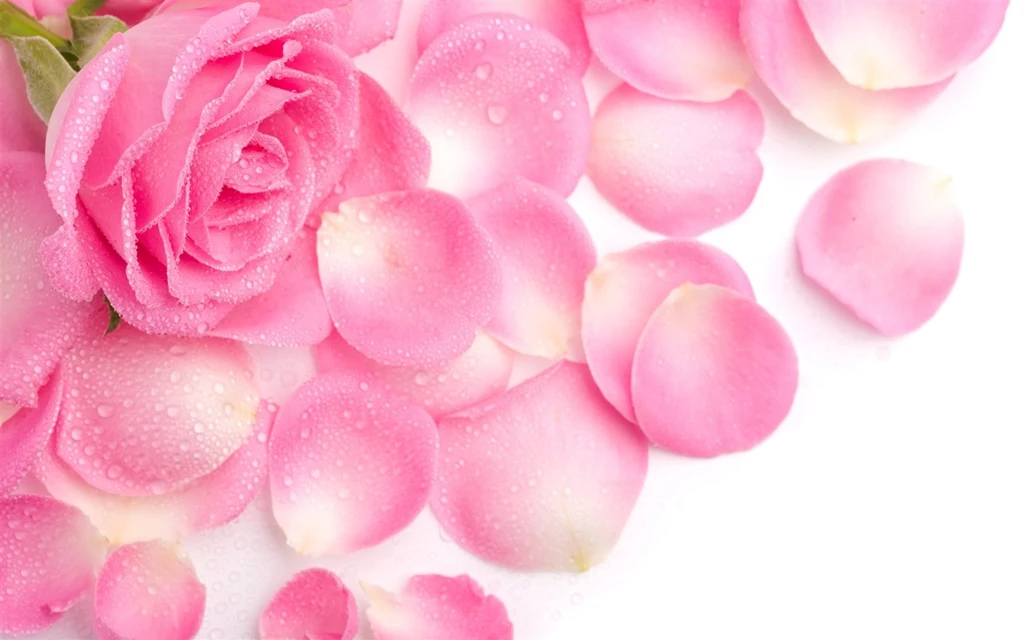 Simani: Pink Flowers Wallpapers Cute Girly Pink Color Backgrounds ...