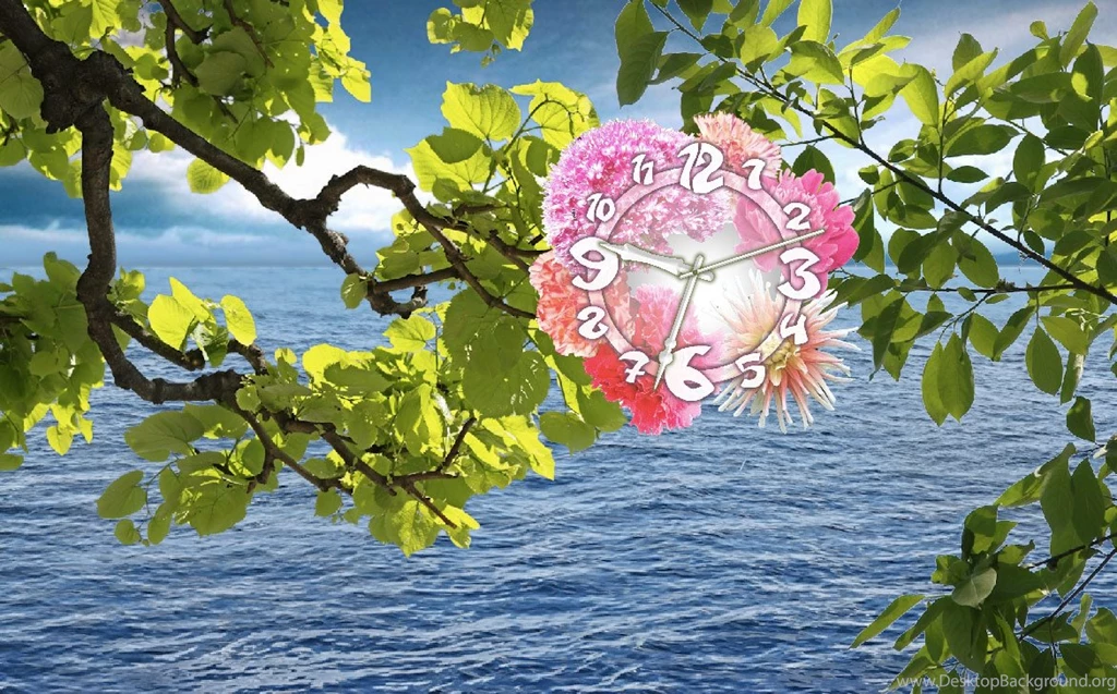 Free Live Wallpapers Download Wallpapers HD Fine