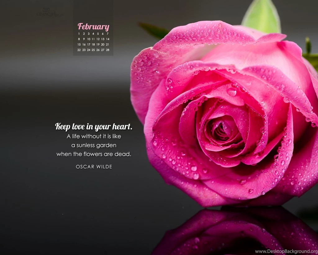 February Desktop Wallpapers Free February Desktop Backgrounds Desktop ...