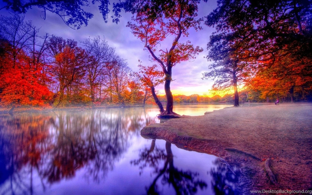 Free Full HD Wallpapers