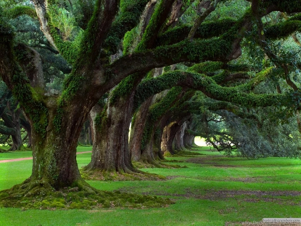 Unbelievable Pictures Of Nature Wallpapers HD Wide