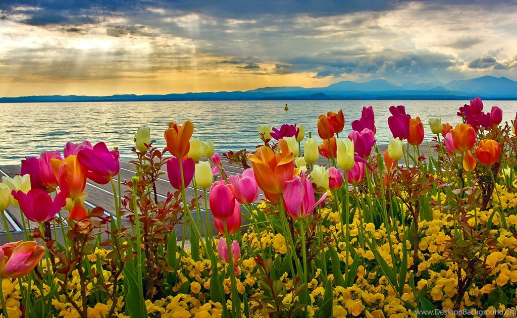 Jestingstock.com Spring Desktop Wallpapers Hd