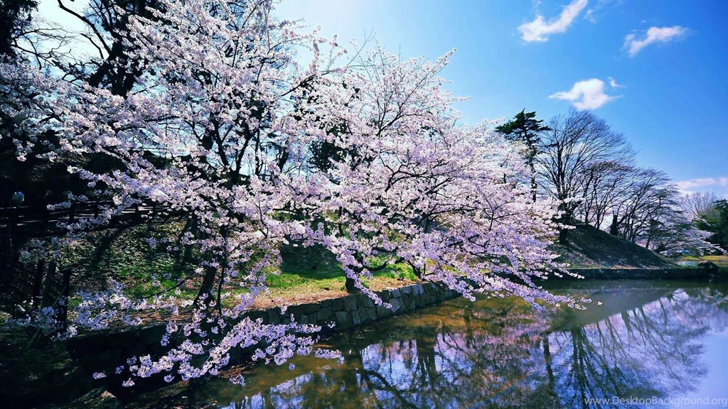 Spring Backgrounds For Desktop Wallpapers Cave