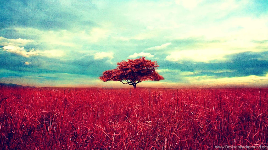 13 Vintage Desktop Wallpapers Download Vintage Wallpapers In Hd ...