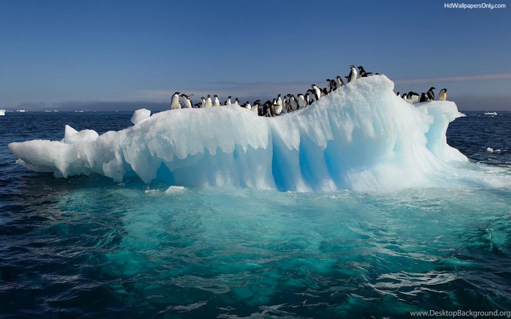 Wallpapers Hd For Desktop Free Download Wallpapers High Definition