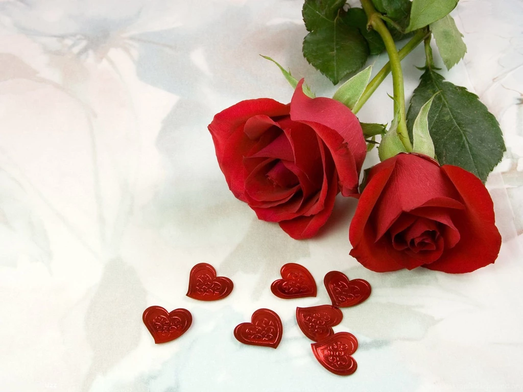 Wallpapers Of Red Rose Wallpapers Cave