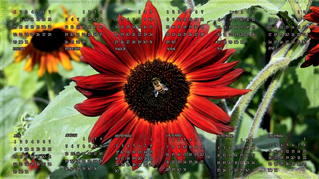 Red Sunflowers And Other Photos (with A Calendar Too!) « Oregonshar