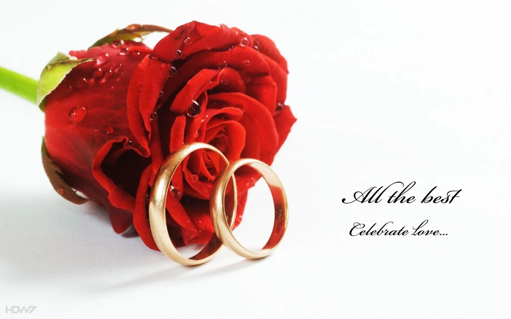 Wedding Rings Red Rose Flower Celebrate Love