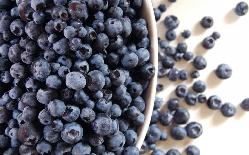 Berry Blueberry Hd Wallpapers Wallpapers