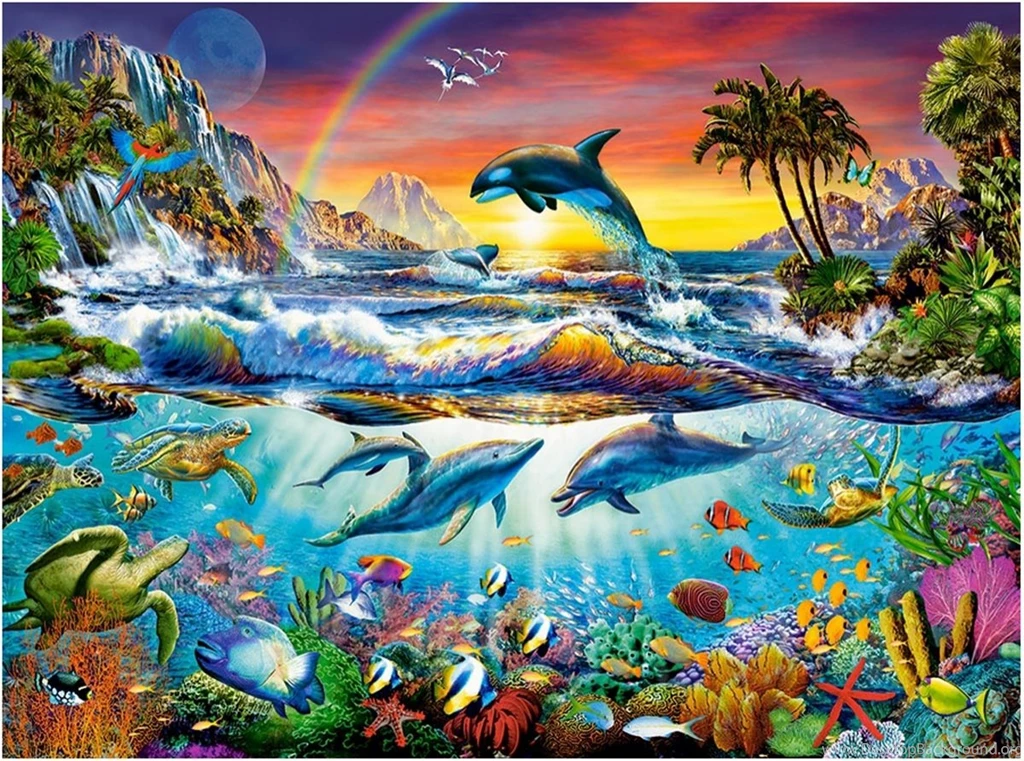 Paradise Cove Tree Palm Nature Dolphins Wallpapers For Desktop ...