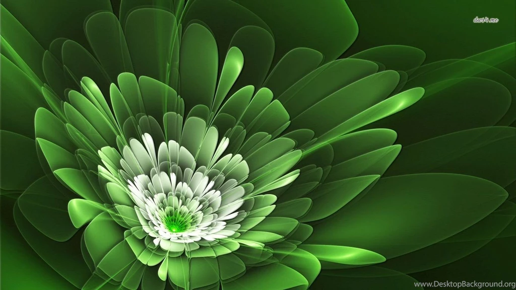 Green Flower Wallpapers Digital Art Wallpapers Desktop Background