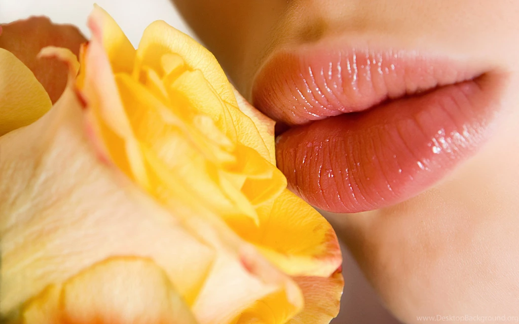 Yellow Rose Desktop Wallpapers