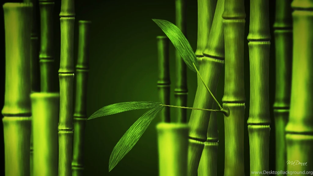Bamboo Wallpapers HD