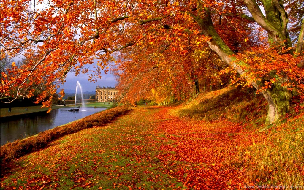 Autumn Backgrounds Wallpapers Wallpapers Cave