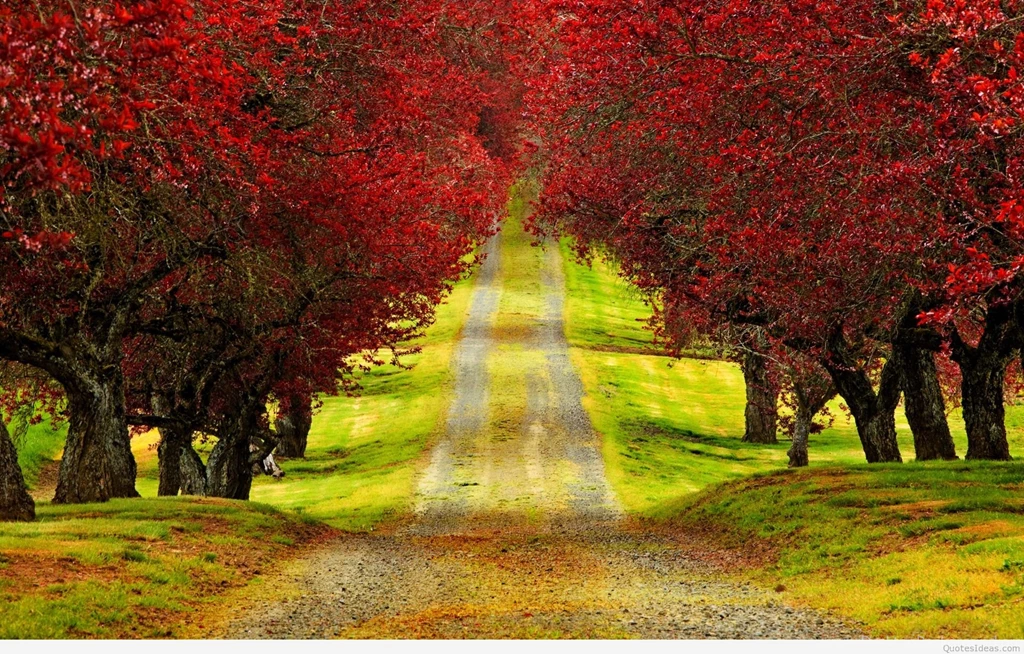 Download Autumn Mountain Wallpapers