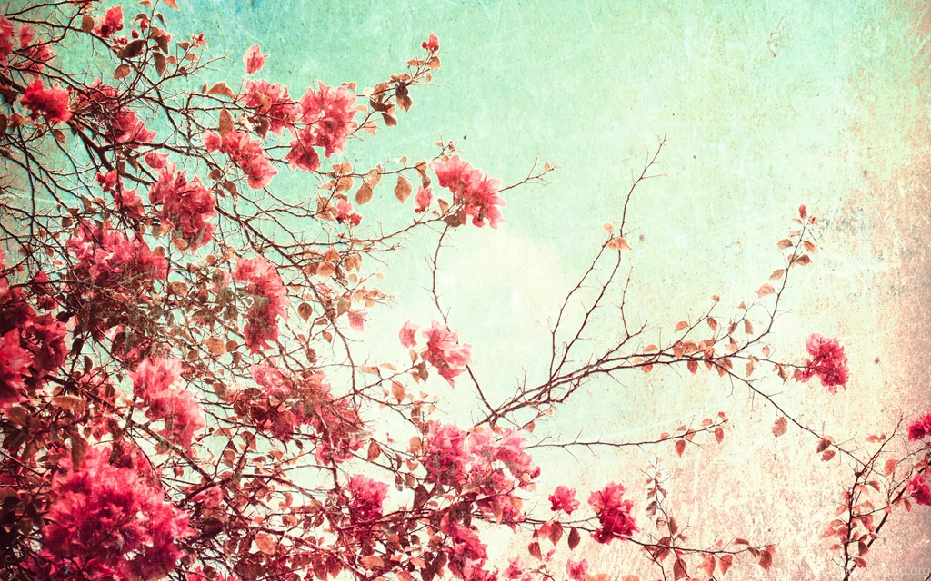Color Wallpapers Archives Page 58 Of 73 WideWallpaper.info ...