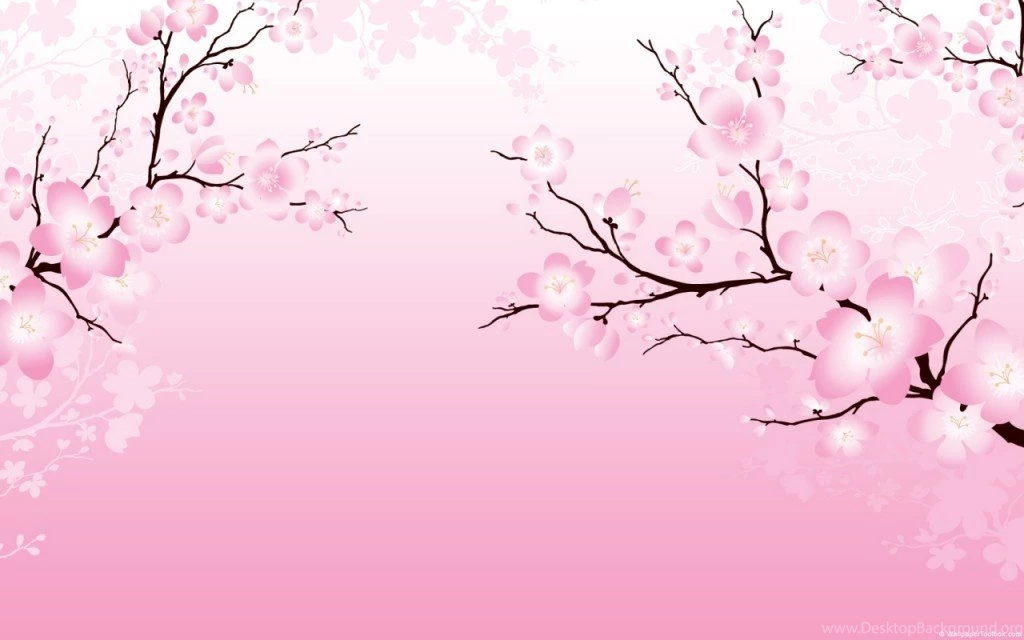 Cherry blossom hd wallpapers MWESB At Oregon State University