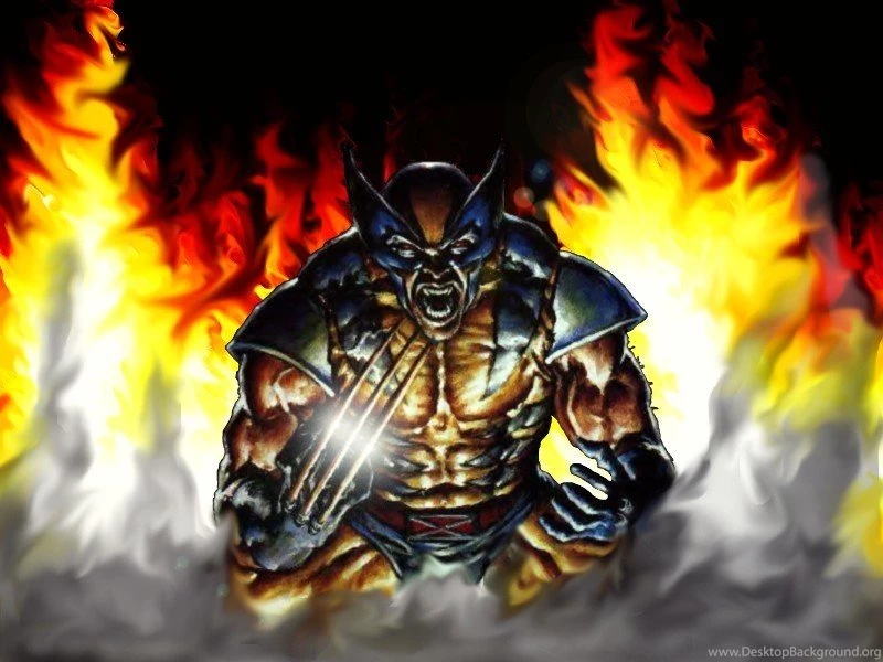 Wolverine Wallpapers Wolverine Wallpapers (3508354) Fanpop