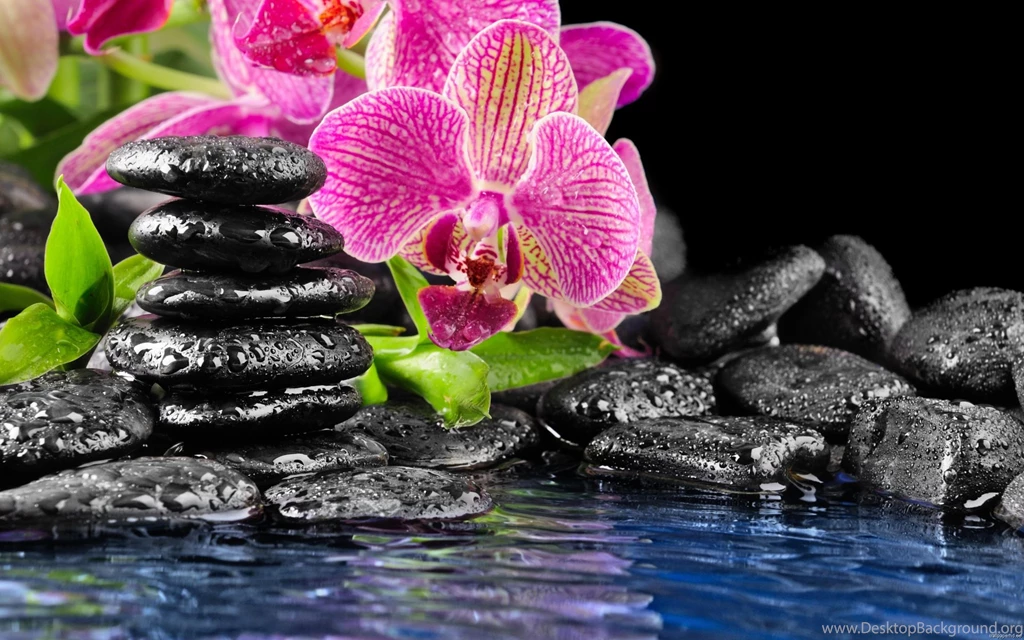 Computer Desktop Screensavers HD Backgrounds