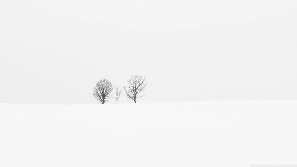 HD Abstract White Wallpapers Widescreen Full Size HiReWallpapers 4742