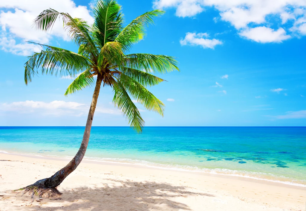Tropical Beach Wallpapers 1920x1200px