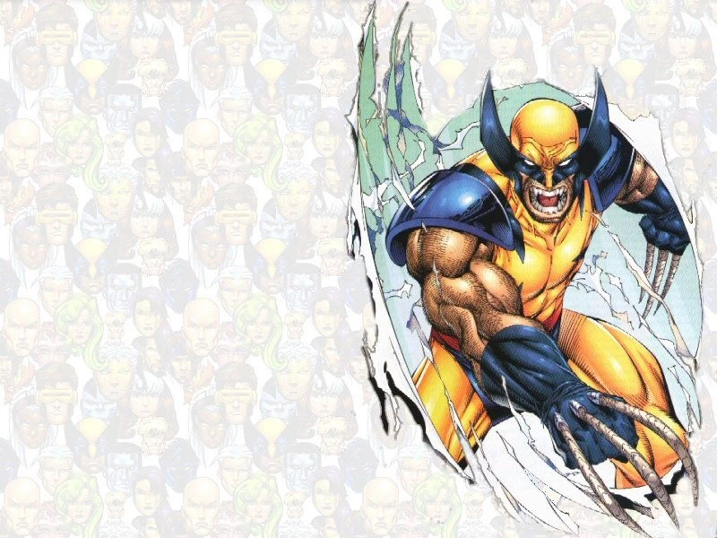 Wallpapers Wolverine Marvel Ic 800x600