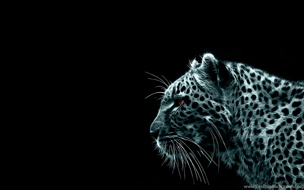 1064 Tiger HD Wallpapers