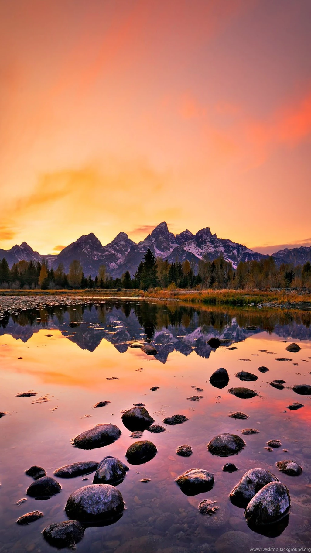 Free iPhone Wallpapers $919