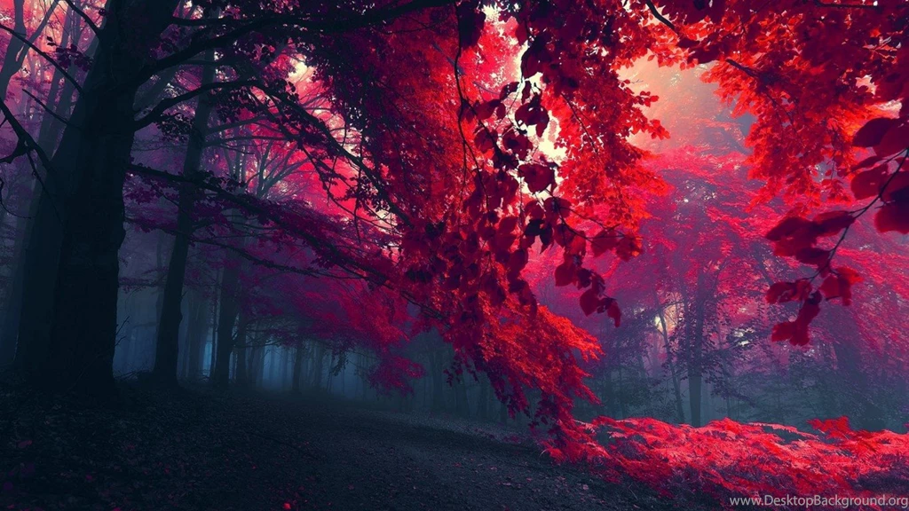 30+ Extra Ordinary Cute Hd Wallpapers