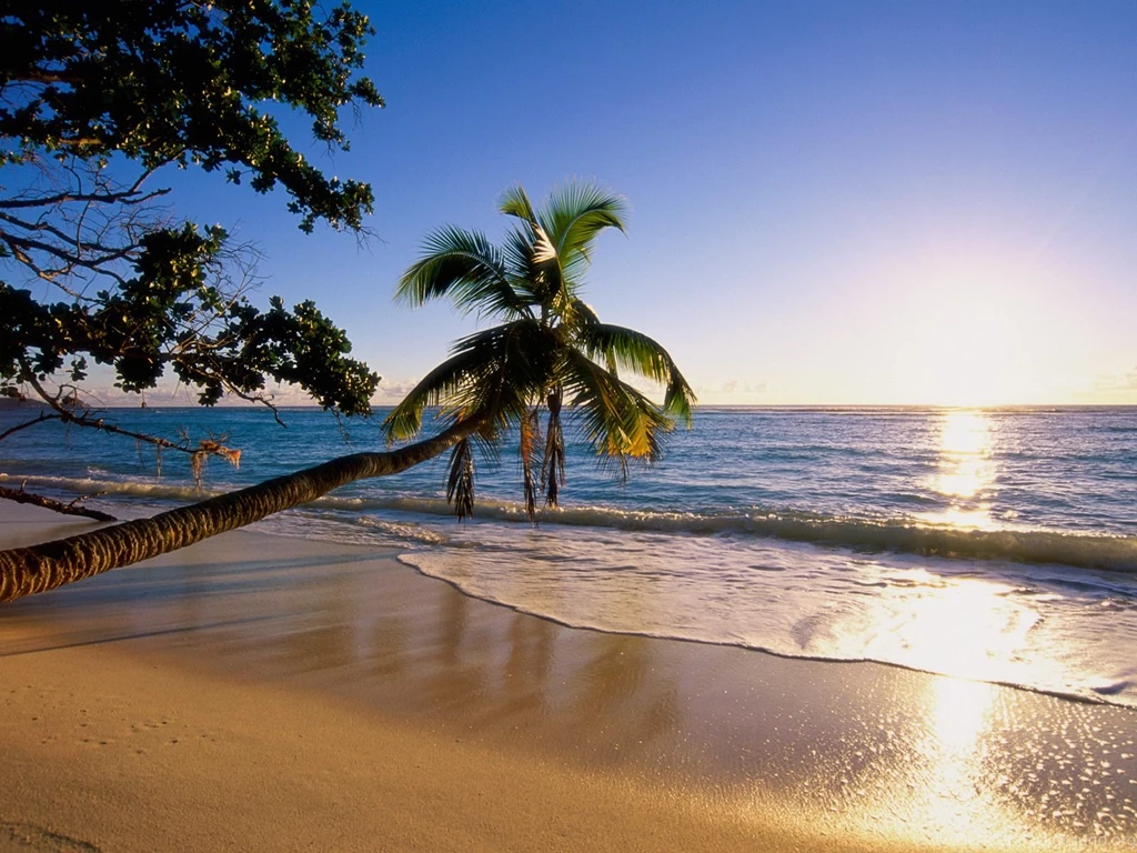Beach Wallpapers Collection (33+)