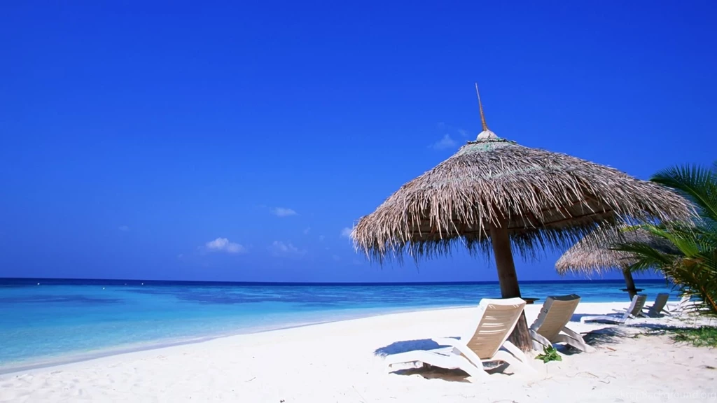 Tropical Wallpapers Free Wallpapers Cave
