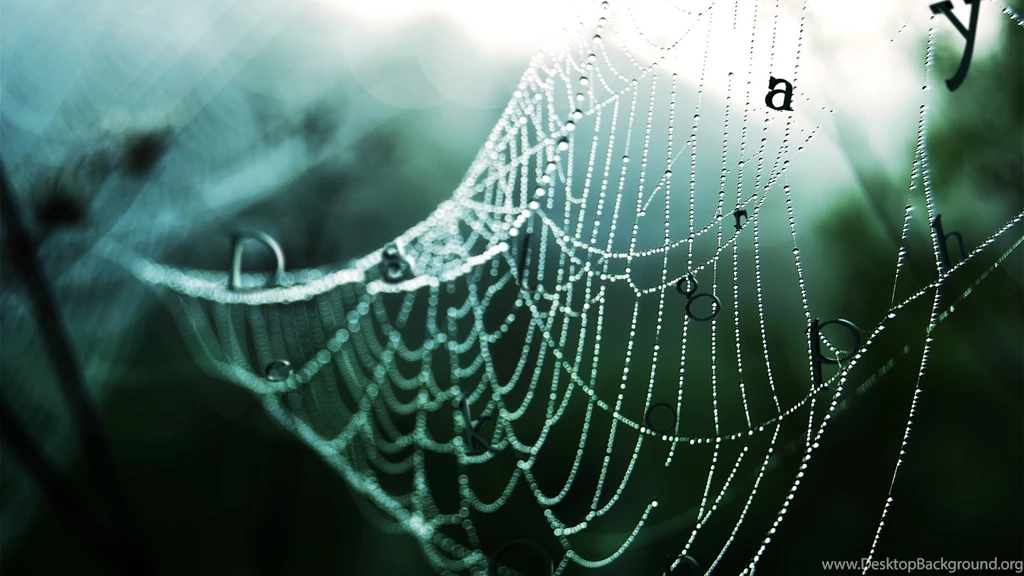 Best wallpapers 1920x1080.jpg